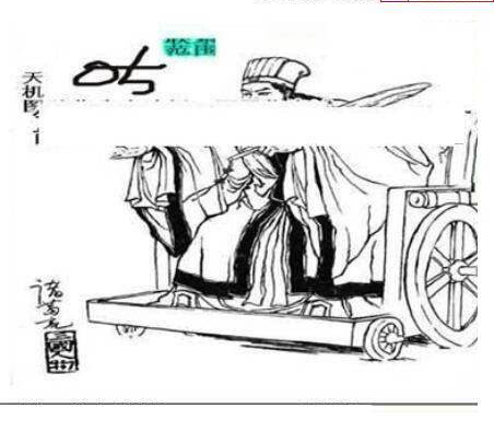 24342期: 三毛3D精品图谜