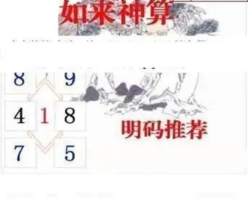 26069期: 白老3D杀码图版