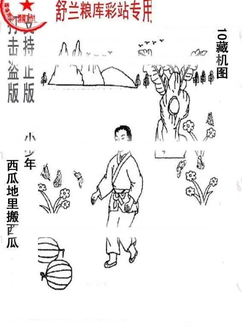 26010期: 老村长福彩3D天天图谜