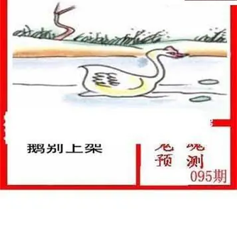 26095期: 白老3D杀码图版