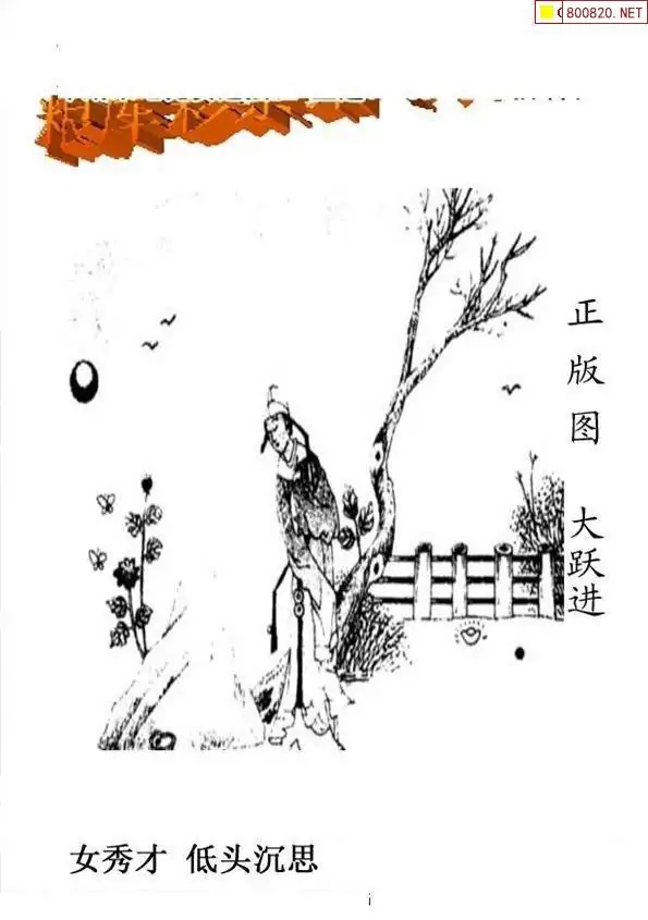 25204期: 老村长福彩3D天天图谜