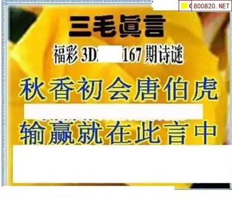 25167期: 三毛3D精品图谜