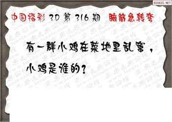 25316期: 3D蝴蝶世家蝴蝶彩图