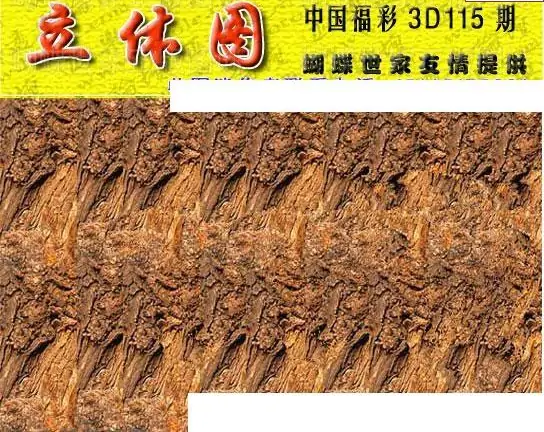 25115期: 3D蝴蝶世家蝴蝶彩图