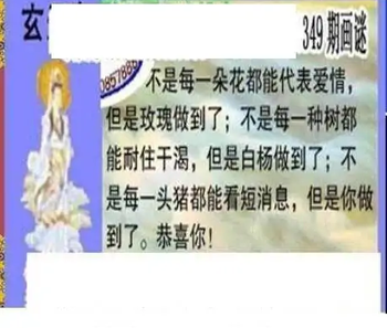 25349期: 三毛3D精品图谜