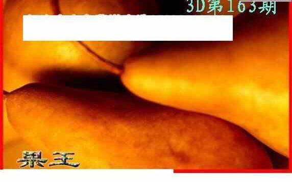 24163期: 白老3D杀码图版