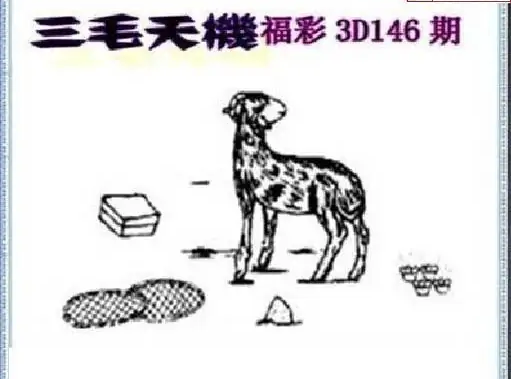 25146期: 三毛3D精品图谜