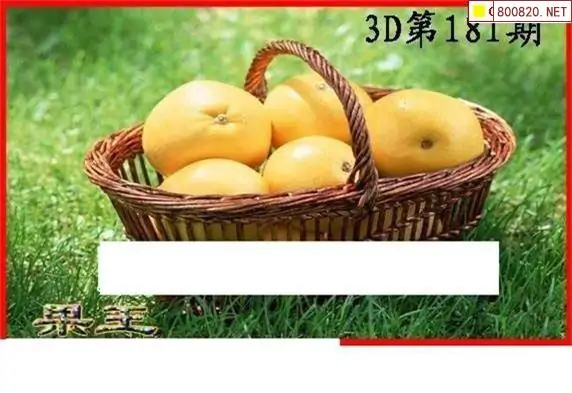 25181期: 白老3D杀码图版