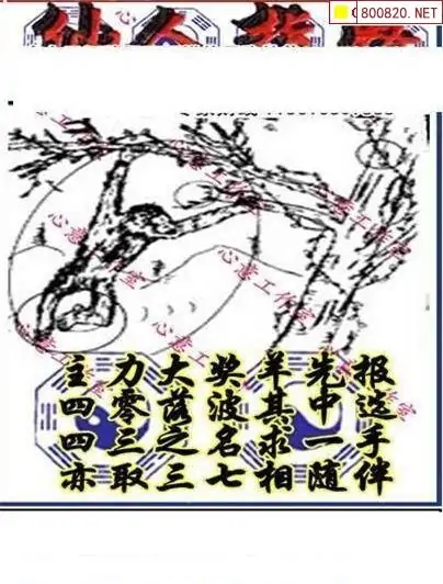 25168期: 三毛3D精品图谜