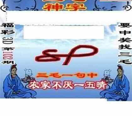 24102期: 三毛3D精品图谜