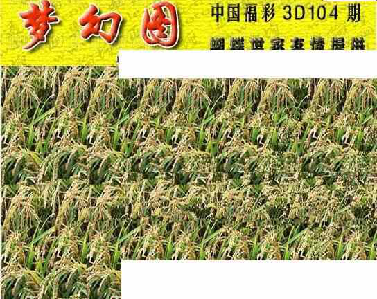 24104期: 3D蝴蝶世家蝴蝶彩图