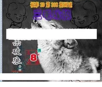 25308期: 三毛3D精品图谜