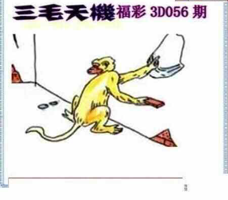 25056期: 三毛3D精品图谜