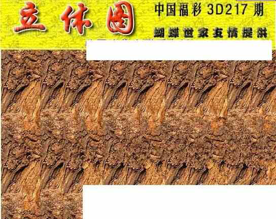 24217期: 3D蝴蝶世家蝴蝶彩图