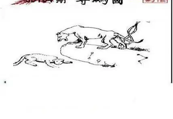 26104期: 三毛3D精品图谜