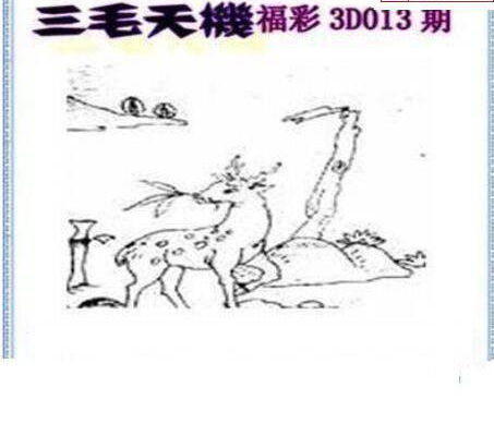 25013期: 三毛3D精品图谜