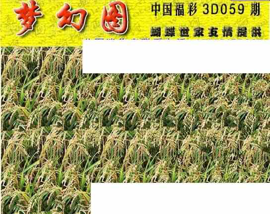 25059期: 3D蝴蝶世家蝴蝶彩图