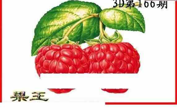 24166期: 白老3D杀码图版