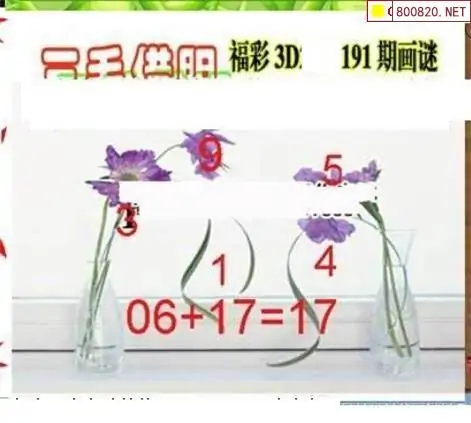 25191期: 三毛3D精品图谜