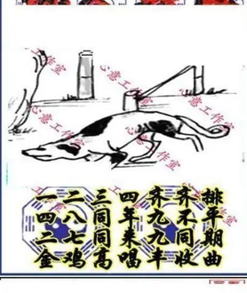 25324期: 三毛3D精品图谜