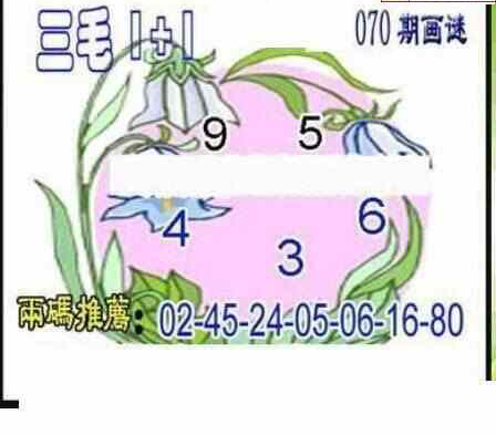 24070期: 三毛3D精品图谜