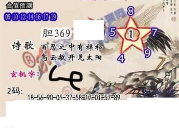 26002期: 白老3D杀码图版