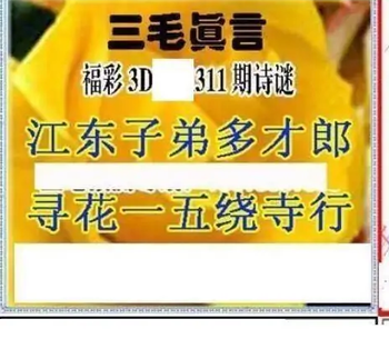 25311期: 三毛3D精品图谜