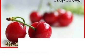 25320期: 白老3D杀码图版