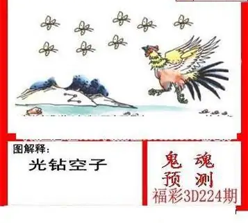 25224期: 白老3D杀码图版