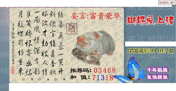 26013期: 3D蝴蝶世家蝴蝶彩图