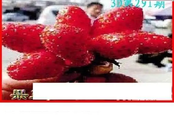 25291期: 白老3D杀码图版