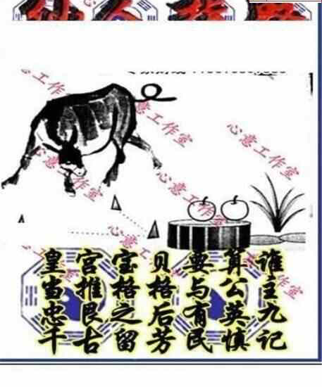 24092期: 三毛3D精品图谜