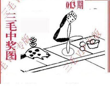 25013期: 三毛3D精品图谜