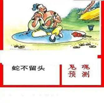 25349期: 白老3D杀码图版