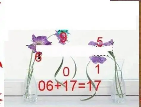 25282期: 三毛3D精品图谜