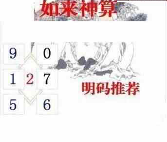 24110期: 白老3D杀码图版