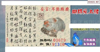 26106期: 3D蝴蝶世家蝴蝶彩图