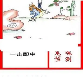 26017期: 白老3D杀码图版