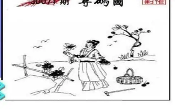 26071期: 三毛3D精品图谜