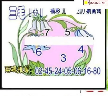 25200期: 三毛3D精品图谜