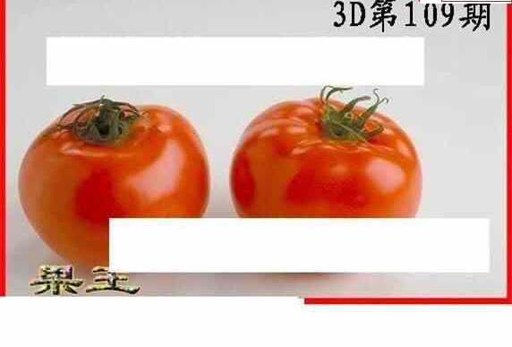 24109期: 白老3D杀码图版