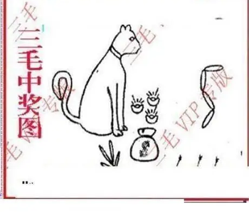 26062期: 三毛3D精品图谜