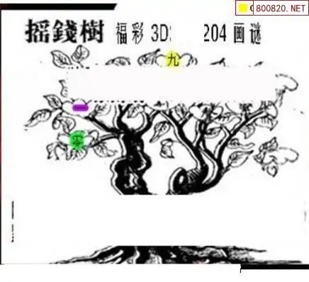 25204期: 三毛3D精品图谜