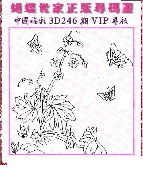 25246期: 3D蝴蝶世家蝴蝶彩图