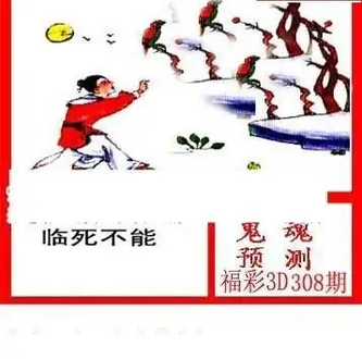 25308期: 白老3D杀码图版