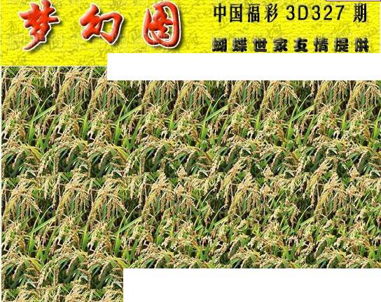 24327期: 3D蝴蝶世家蝴蝶彩图