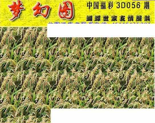 25056期: 3D蝴蝶世家蝴蝶彩图