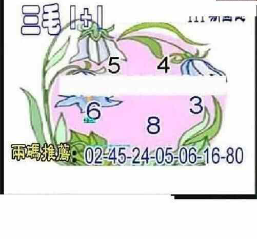 24111期: 三毛3D精品图谜