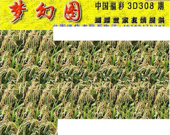 24308期: 3D蝴蝶世家蝴蝶彩图