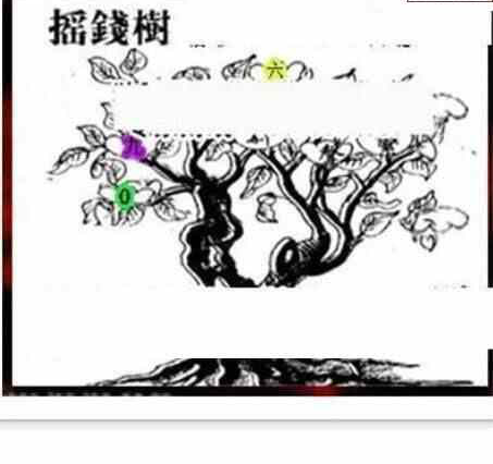 24095期: 三毛3D精品图谜